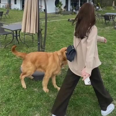 三只狼
